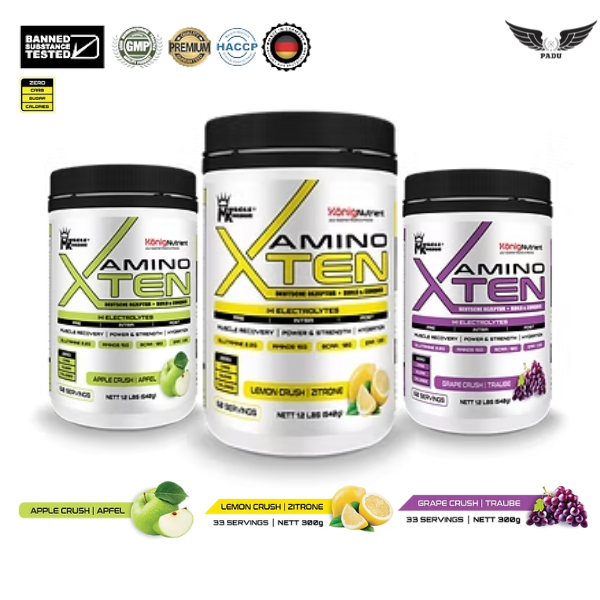 Muscle Kingdom Amino XTEN (Muscle Recovery, Energy)